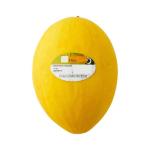 Pice 94w Beasley Journal (Digital)